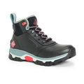 Apex Wellingtons
