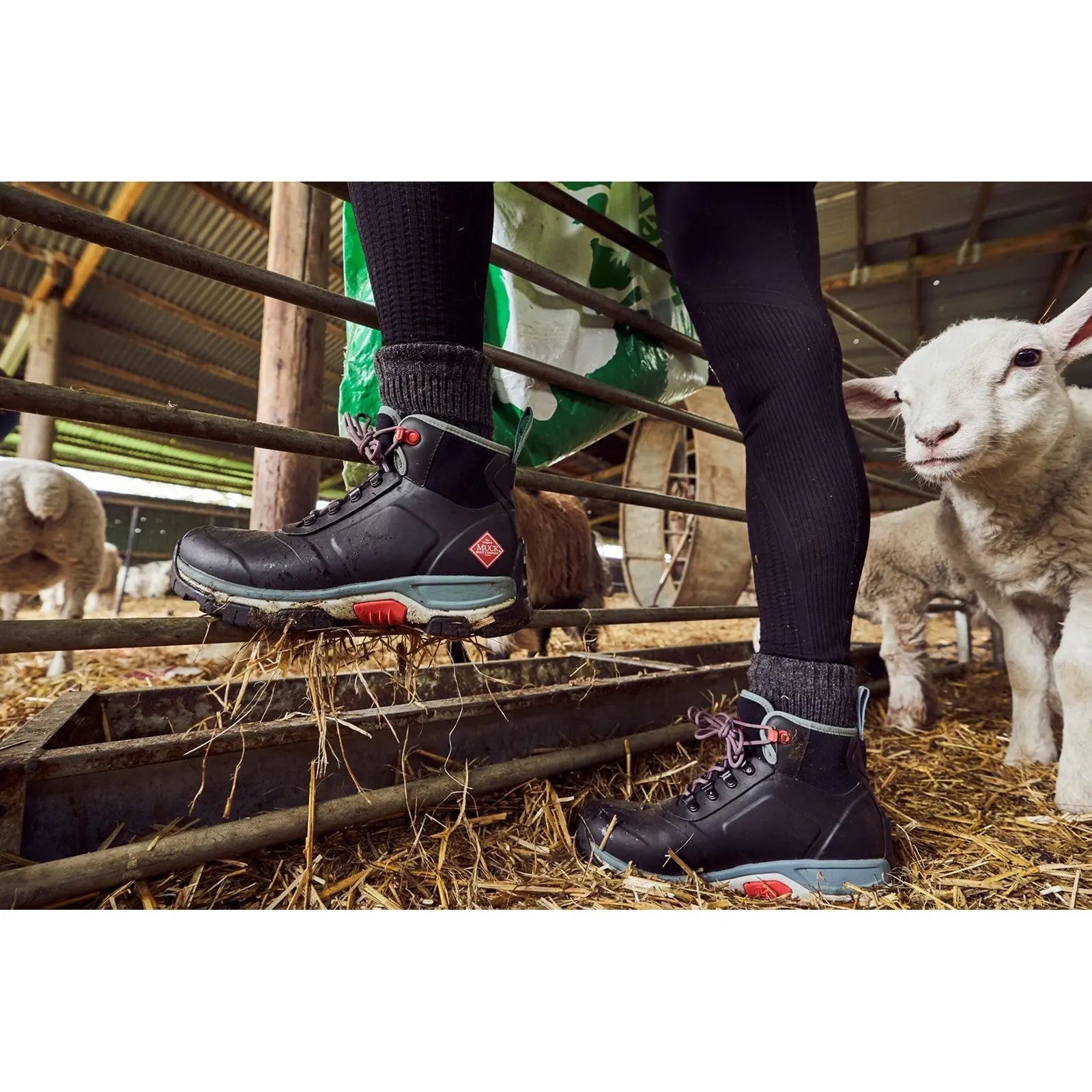 Apex Wellingtons